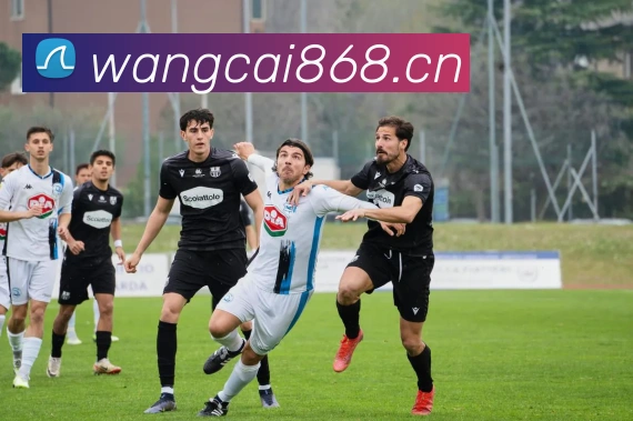 米兰体育网页官网平台生态图